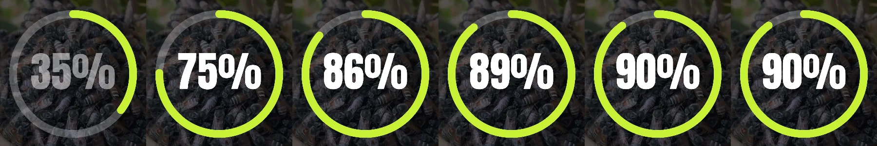 Six frames of the 90% count-up: 35%, 75%, 86%, 89%, 90%, 90%