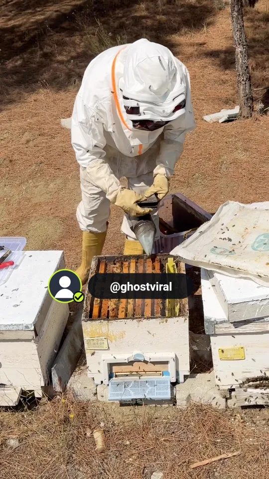 A follow prompt over a beekeeper at work